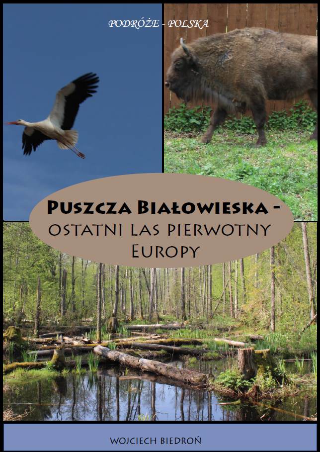 Puszcza Białowieska - ostatni las pierwotny Europy